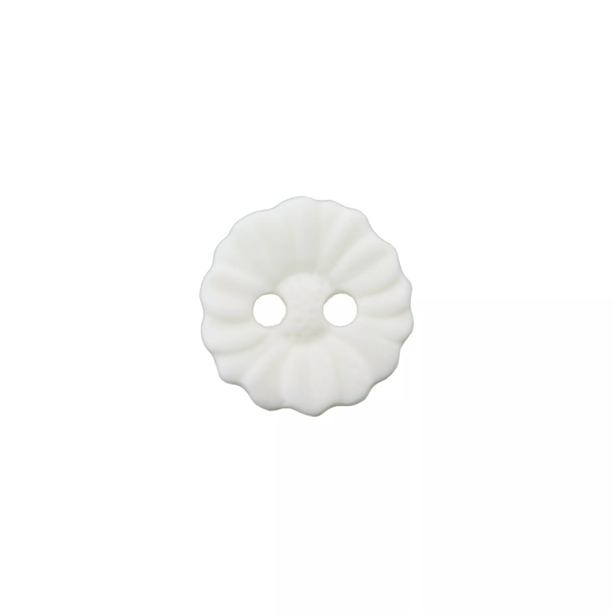 Polyester two-hole button
