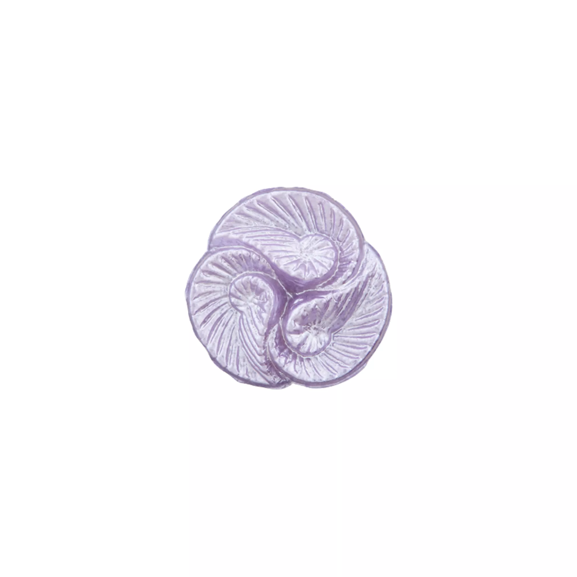Bouton polyamide pied, Coquilles