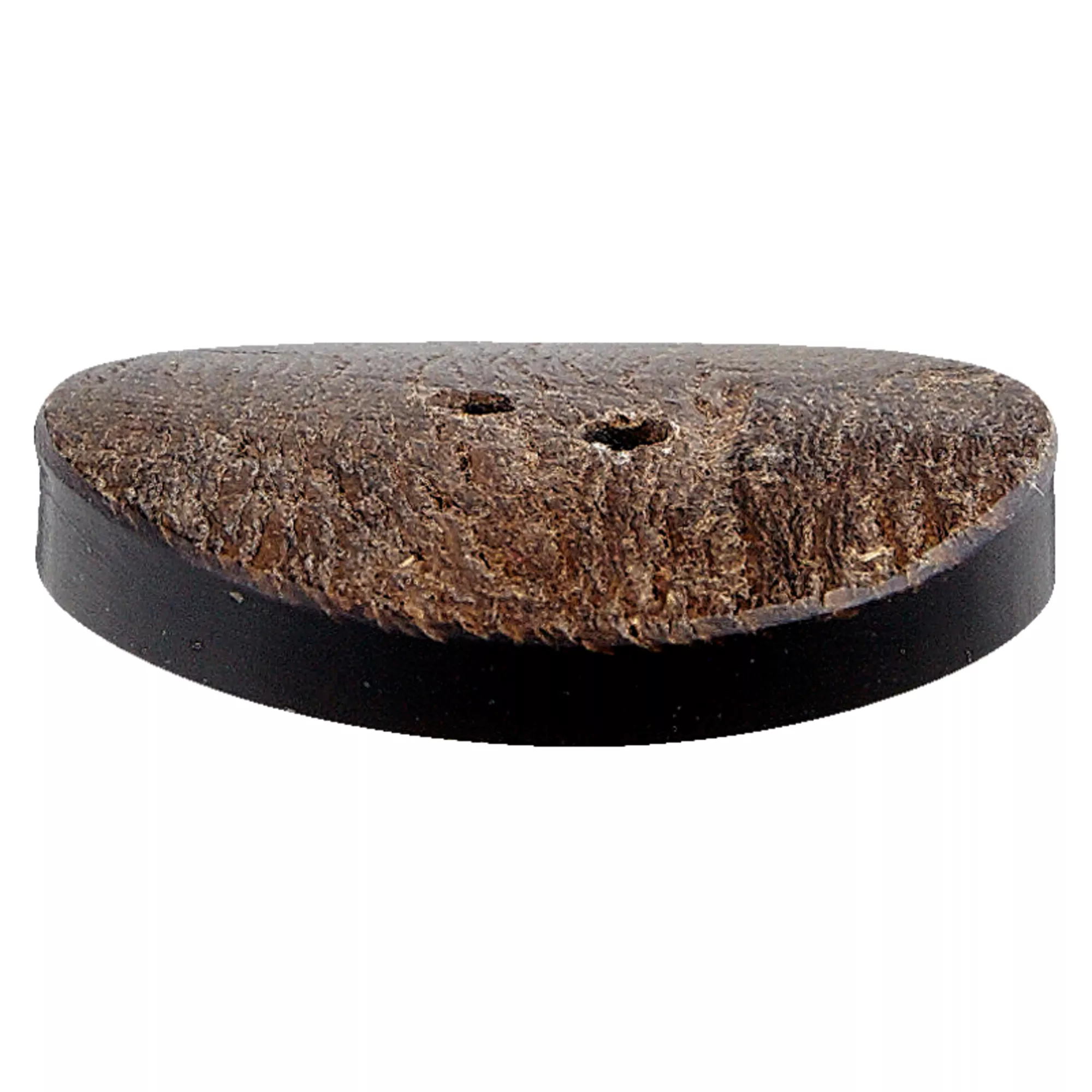 Horn two-hole button
