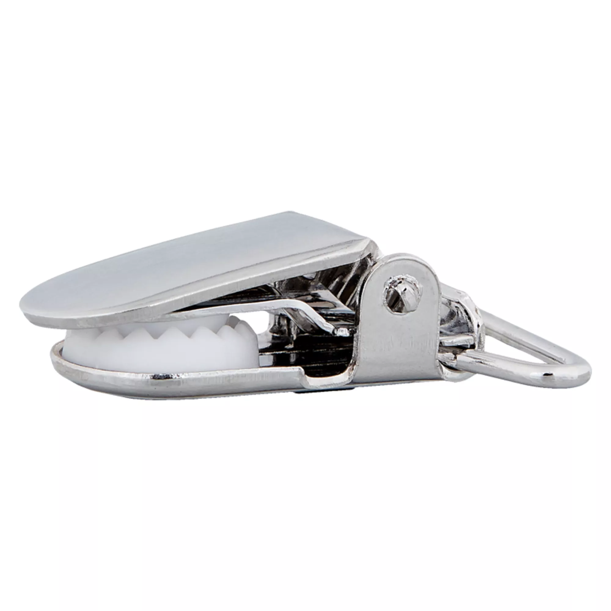 Brace clips