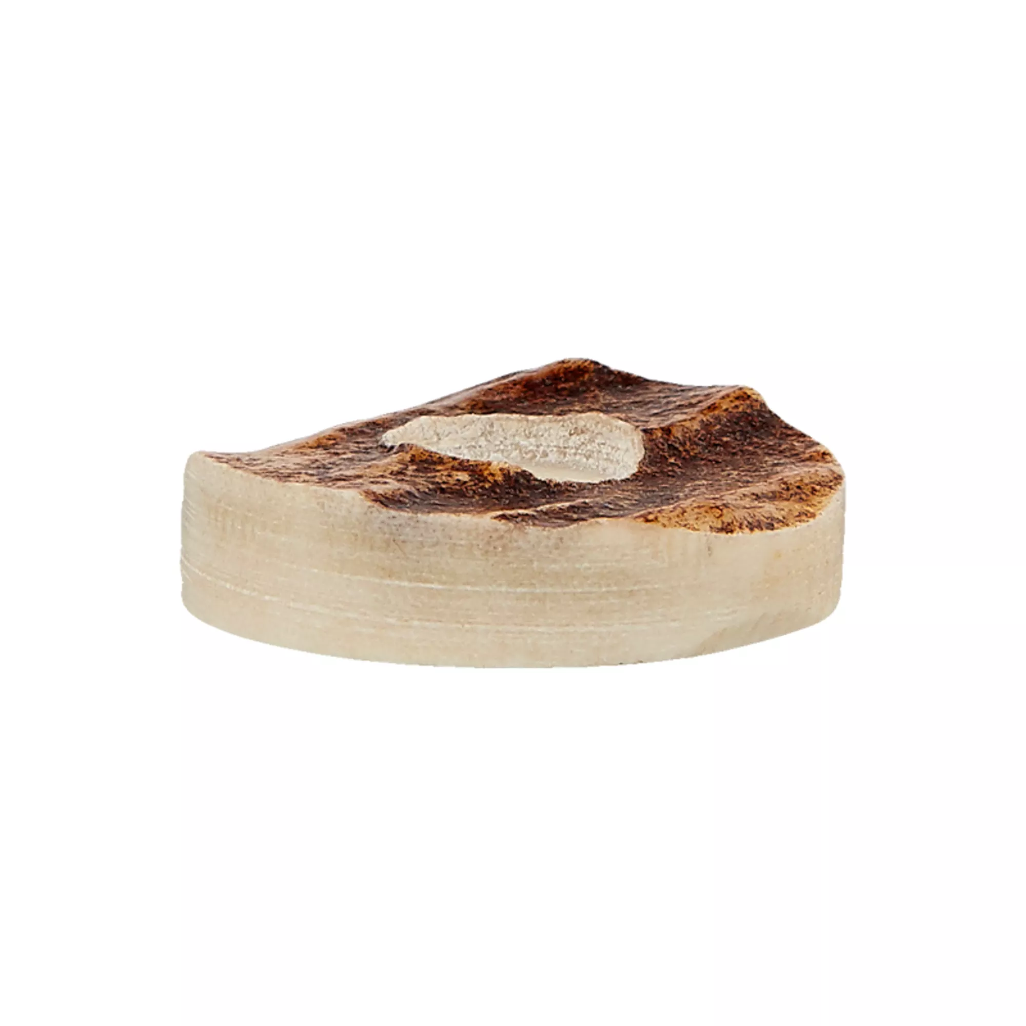 Horn two-hole button