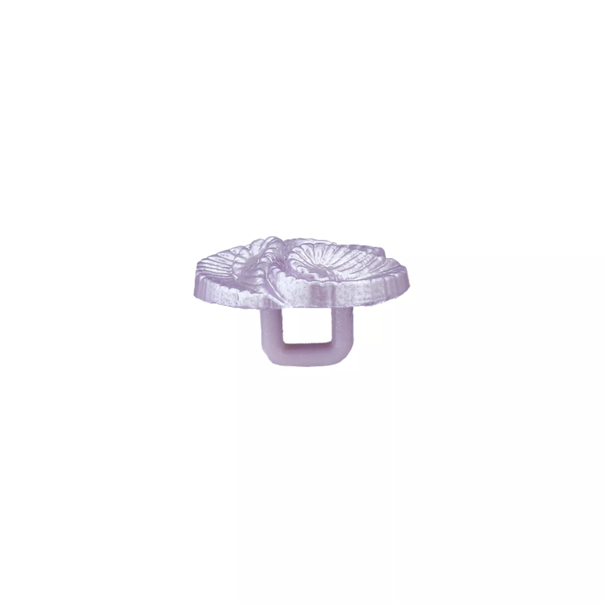 Bouton polyamide pied, Coquilles