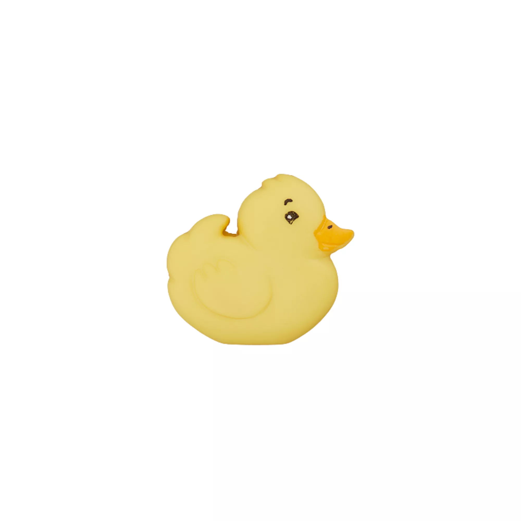 Bouton Carnard Sur Pied