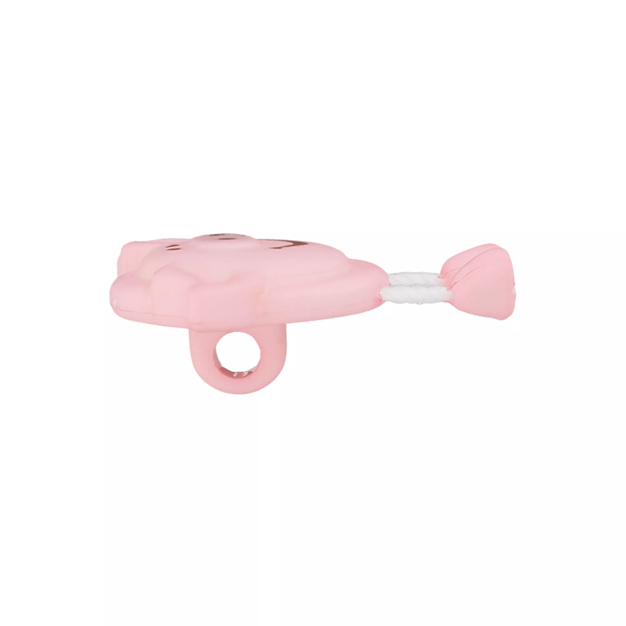 Bouton Cochon Sur Pied