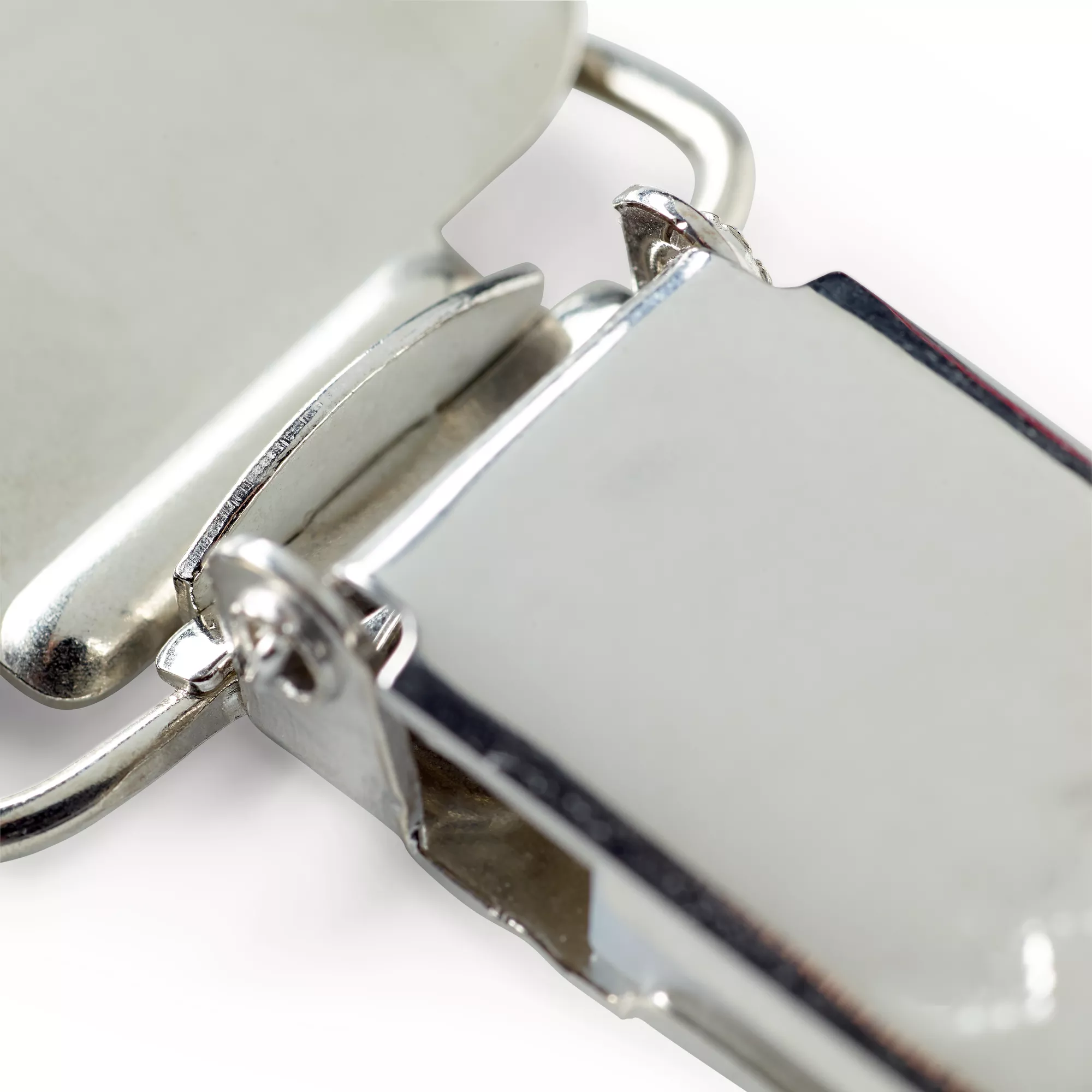 Combi clips with hinged buckles