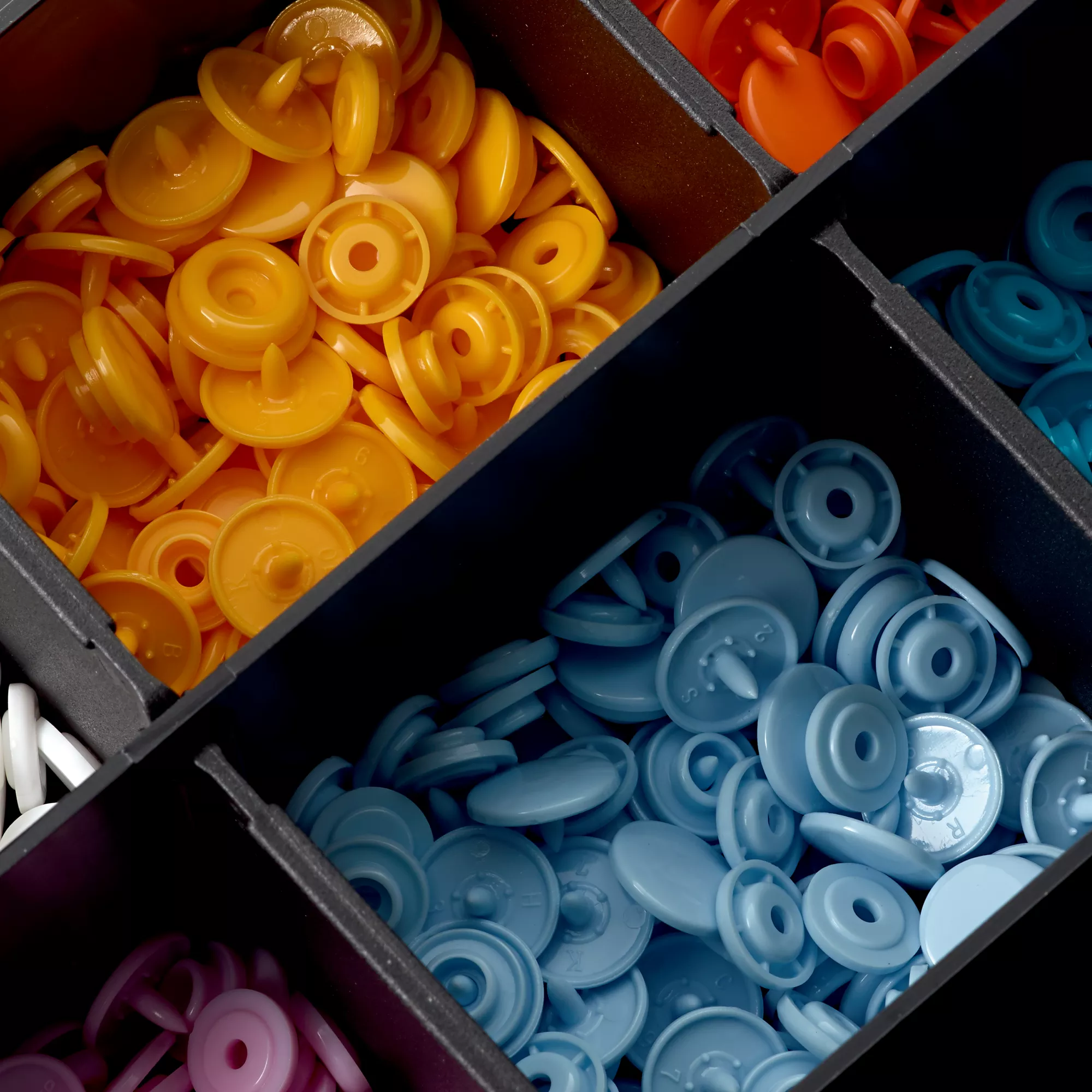 Color Snaps Box